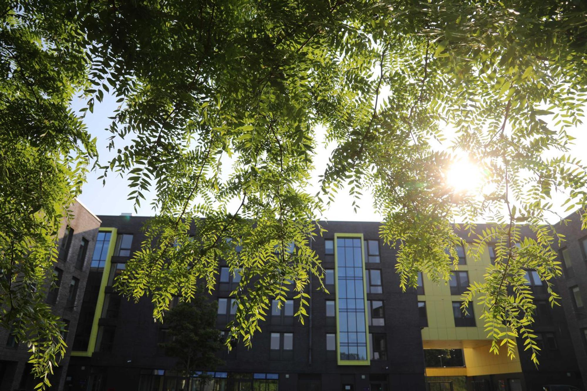 Goldcrest Village Rooms University Of Galway Ngoại thất bức ảnh